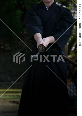 Japanese martial arts Japanese martial arts 38465733