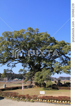 Kawabo的Ogasu（武雄市） 38466139