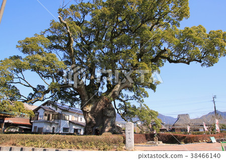 Ogasu of Kawabo (Takeo City) Ogasu of Kawabo (Takeo City) 38466140