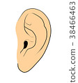 ear 38466463