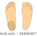 Foot 38466467