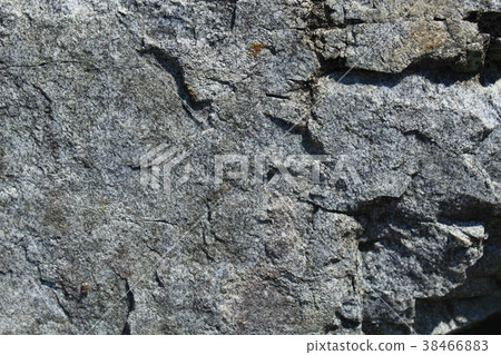 Rough rough skin Rough rough skin 38466883