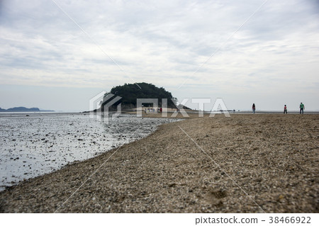 仁川市津津縣孫在道 38466922