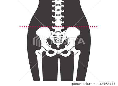 Human skeleton Lumbar black 38468311