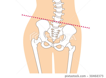 Human skeleton Skeleton skin color Human skeleton Skeleton skin color 38468373