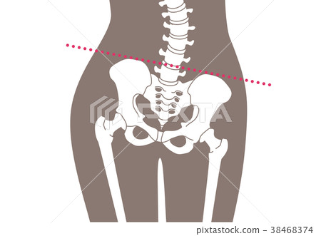 Human skeleton Low back brown 38468374