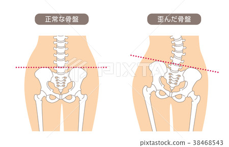 人體骨骼骷髏膚色 38468543