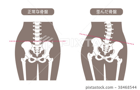 人體骨骼低背棕色 38468544