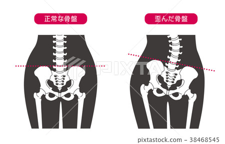 人體骨骼腰部黑色 38468545