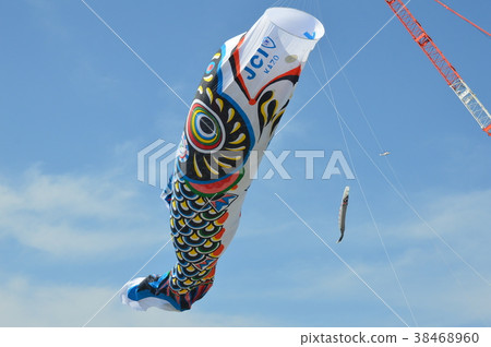 Jumbo Koinobori(Tonegawa Riverside Green Park /埼玉加賀市) Jumbo Koinobori(Tonegawa Riverside Green Park /埼玉加賀市) 38468960