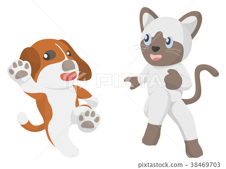 Cheerful dog and cat Cheerful dog and cat 38469703
