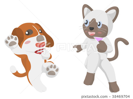 Tipsy dog and cat Tipsy dog and cat 38469704