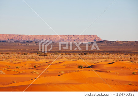 Sand desert Sand desert 38470352
