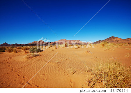Sand desert Sand desert 38470354
