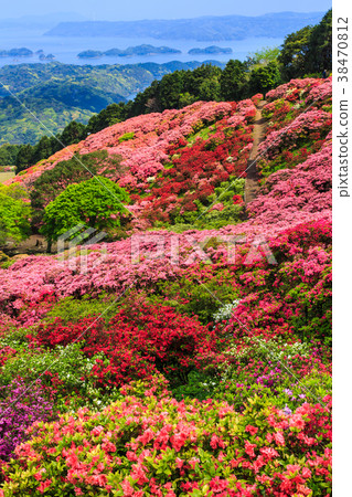 長崎公園的杜鵑花和Kujukushima島[長崎縣佐世保市Kacho鎮] 38470812