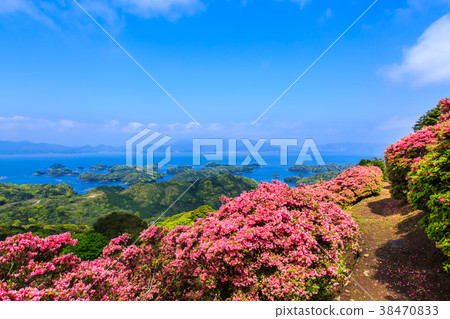 Azalea and Kujukushima Island of Nagasuyama Park [Kacho Town, Sasebo City, Nagasaki Prefecture] 38470833