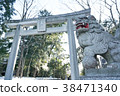 Torii and guardian dog 38471340