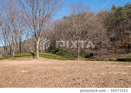 National Musashi hill forest park south exit open space National Musashi hill forest park south exit open space 38471432