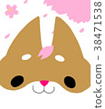 Sakura and Shiba Inu 38471538