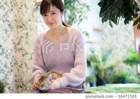Cat Animal Therapy Pet 38471593