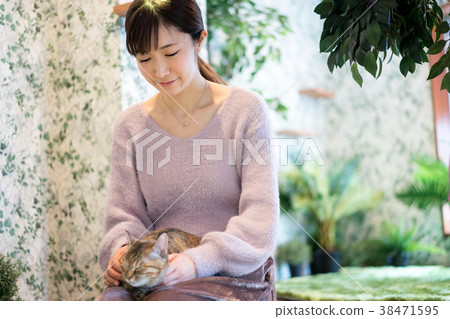 Cat Animal Therapy Pet 38471595