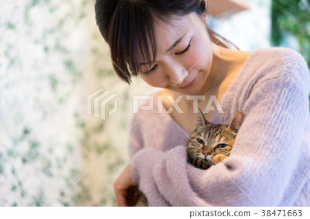 貓動物治療寵物 38471663