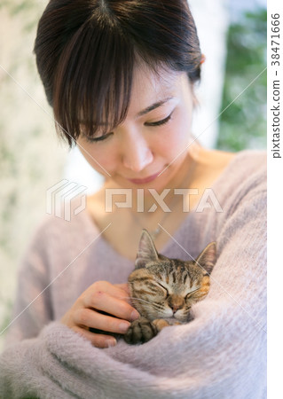 Cat Animal Therapy Pet 38471666