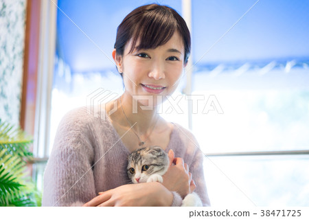 Cat Animal Therapy Pet 38471725