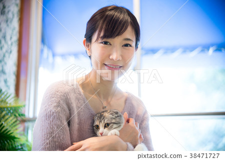 Cat Animal Therapy Pet 38471727