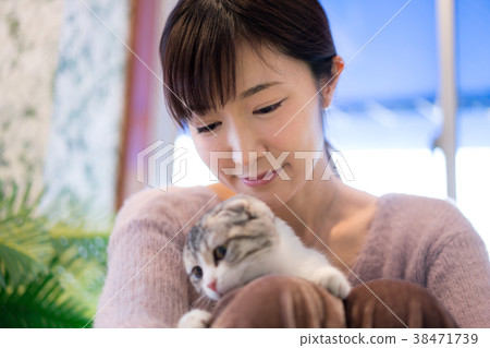 Cat Animal Therapy Pet 38471739