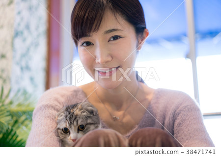 Cat Animal Therapy Pet Cat Animal Therapy Pet 38471741