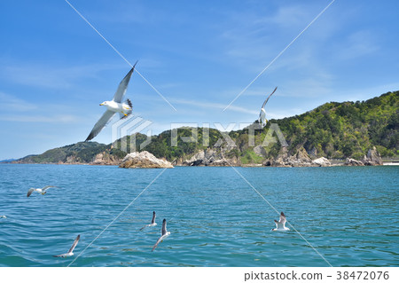 Niigata Sasagawa Flow 38472076