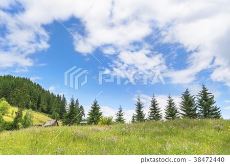 Summer alpine scenery with cloudscape 38472440