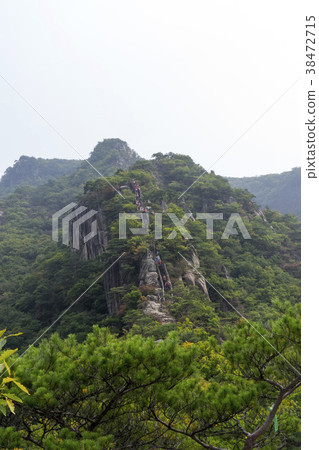 Zebion, Chungju, Danyang, Chungbuk Zebion, Chungju, Danyang, Chungbuk 38472715