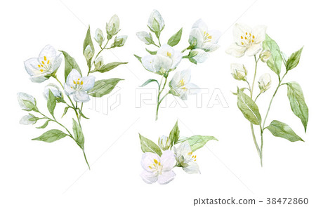 Watercolor floral set Watercolor floral set 38472860