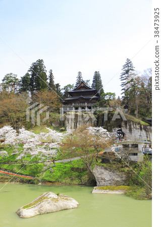 Fuman Kokuzo Kurusuji Sakura Fuman Kokuzo Kurusuji Sakura 38473925