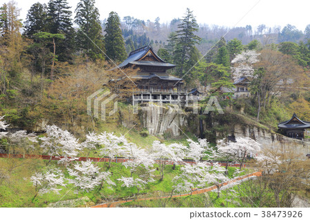 Fuman Kokuzo Kurusuji Sakura Fuman Kokuzo Kurusuji Sakura 38473926