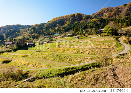 Rice terraces and blue sky 38474034