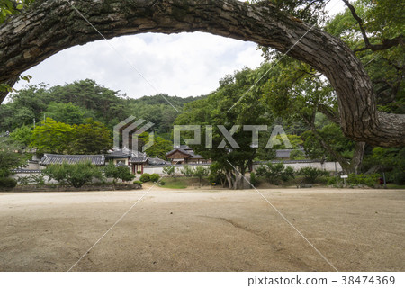 Dosan Seowon, Andong City, Gyeongbuk Dosan Seowon, Andong City, Gyeongbuk 38474369