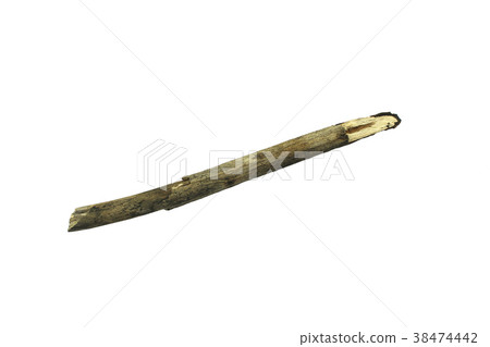 log wood isolate on white background 38474442