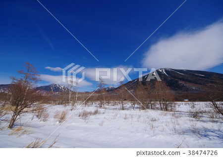 Oku Nikko冬天在Senjogahara東部雪和死樹和Nikko Omoteren山從日本浪漫公路超廣角a Oku Nikko冬天在Senjogahara東部雪和死樹和Nikko Omoteren山從日本浪漫公路超廣角a 38474726