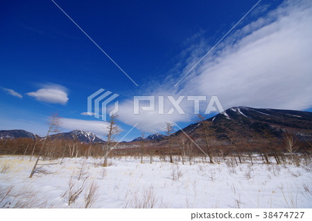 Oku Nikko in winter East of Senjogahara Snow and dead trees and Nikko Omoteren mountain From Japan romantic highway Super wide angle b Oku Nikko in winter East of Senjogahara Snow and dead trees and Nikko Omoteren mountain From Japan romantic highway Super wide angle b 38474727