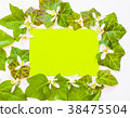 flatlay of ivy leaves with white flowers 38475504