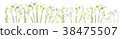 flatlay of snowdrop flowers on white background.  38475507