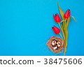 Spring red tilip flowers with quail eggs in a nest 38475606
