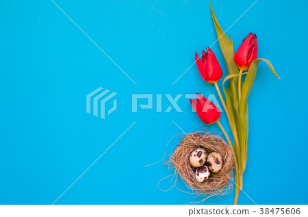 Spring red tilip flowers with quail eggs in a nest Spring red tilip flowers with quail eggs in a nest 38475606