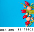 tulips with easter eggs on turquoise background 38475608