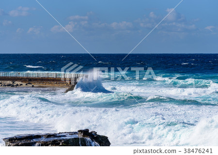 San Diego-Children's Pool in Lao Jolla 38476241