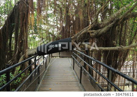 台南市安平樹店 38476611