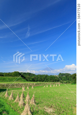 Rural scenery overlooking Fuji 38477510